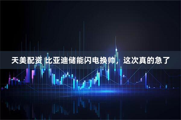 天美配资 比亚迪储能闪电换帅，这次真的急了